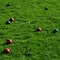 Toy Time Bocce Ball Set Outdoor Family Game for Backyard, Lawn, Beach, Includes Red and Green Balls and Case 654361ATQ - alternate 2